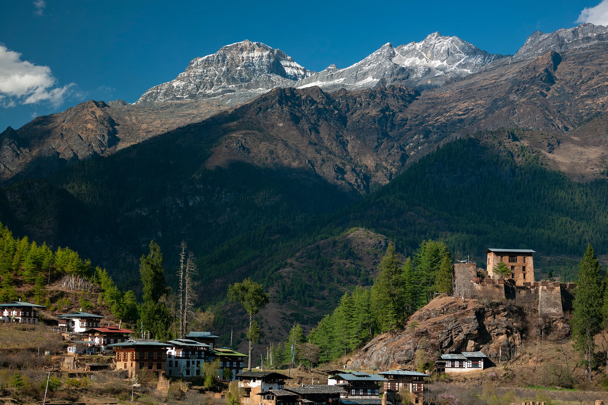 bhutan-import-export-data