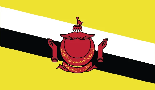 brunei-flag