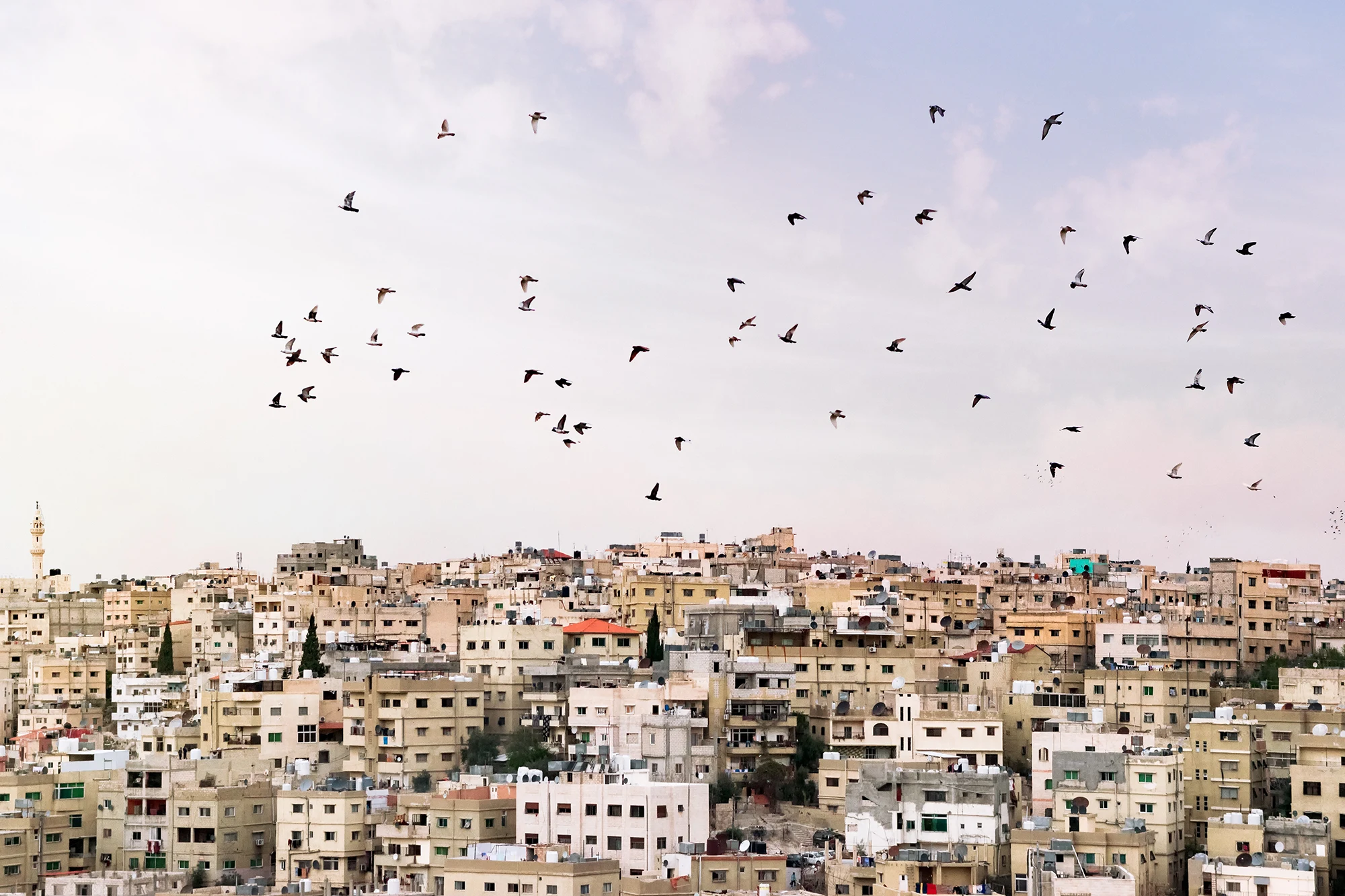 jordan-import-export-data