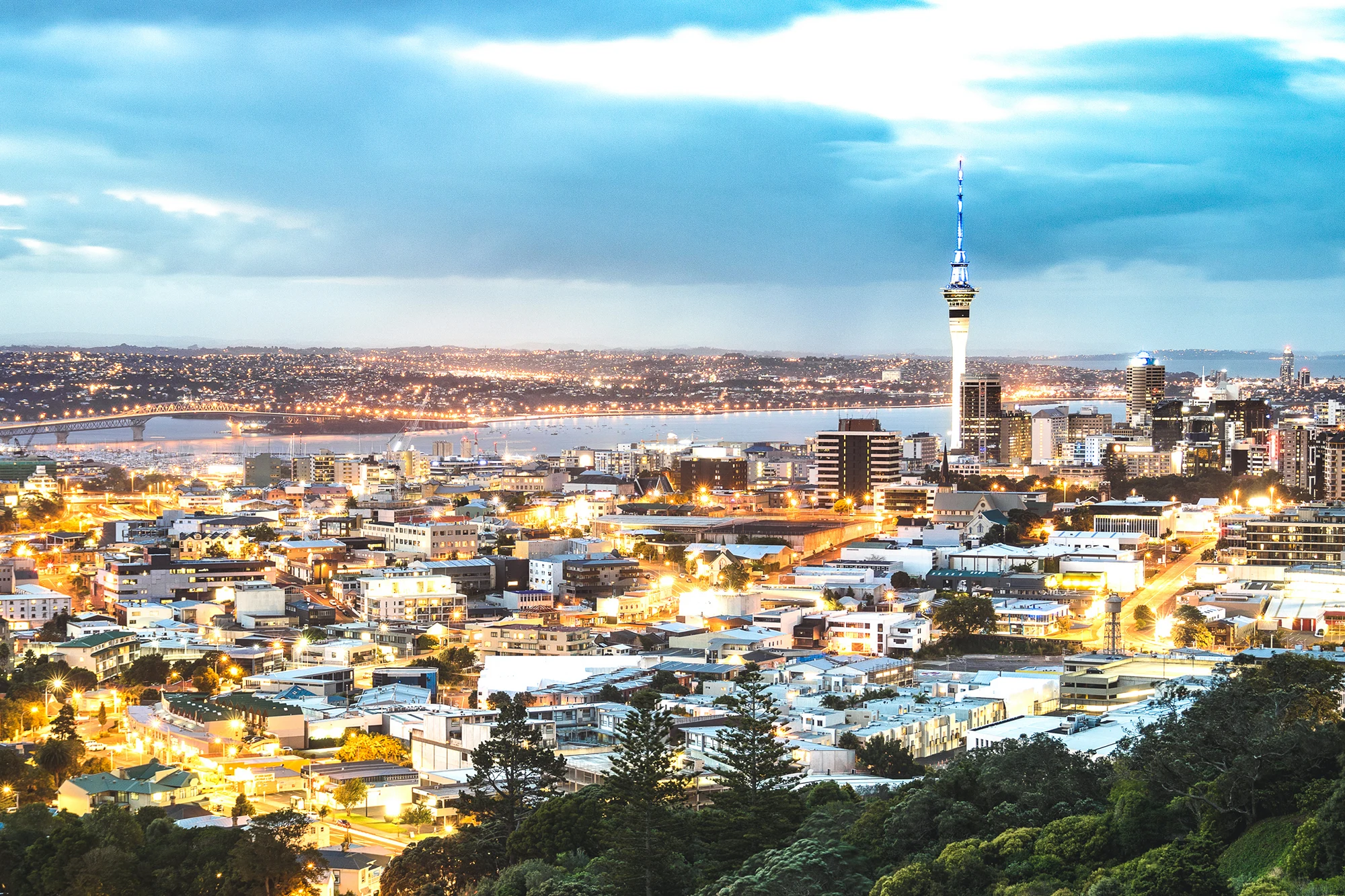 new-zealand-import-export-data